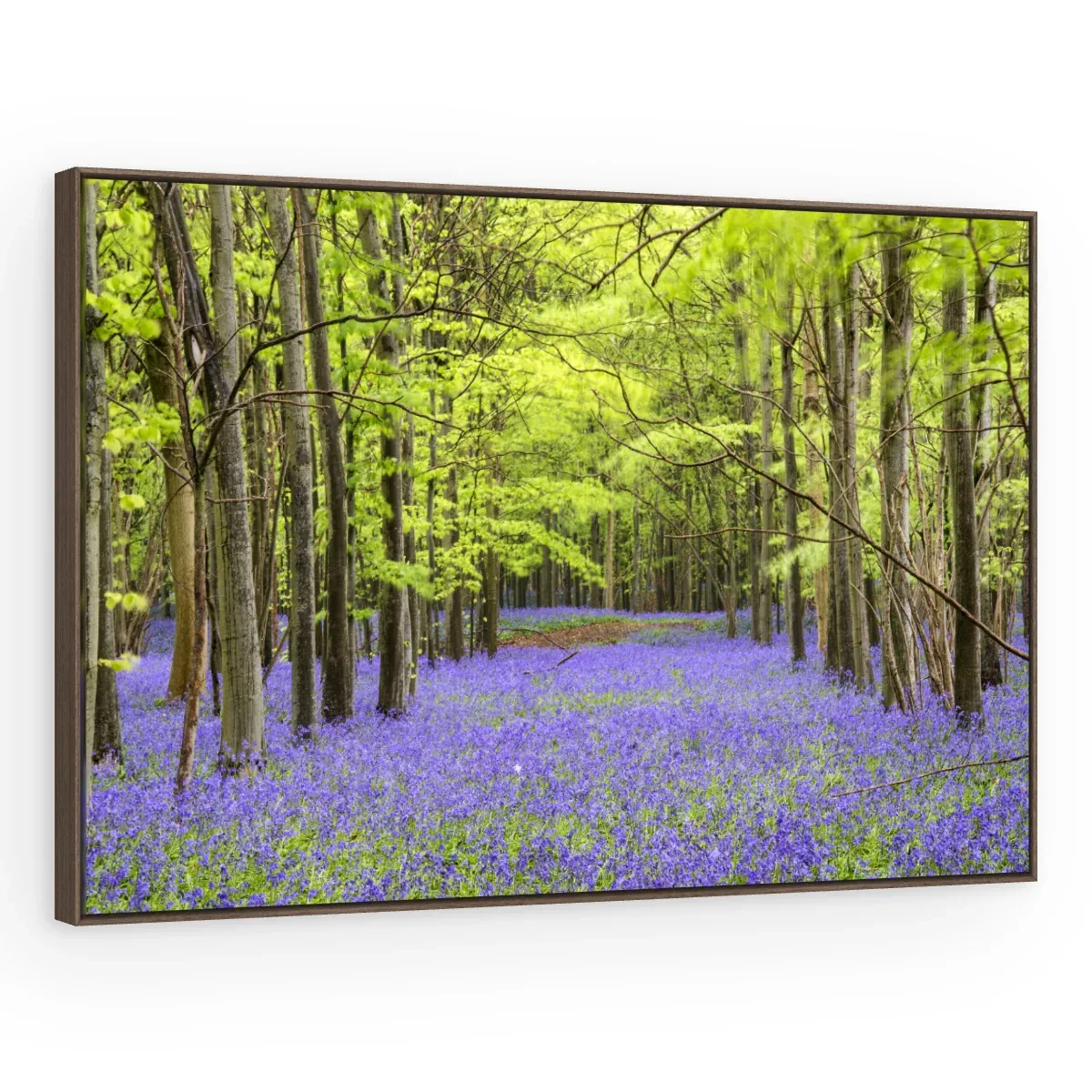 Quadro Decorativo Canvas Bosque Violeta - AF0084