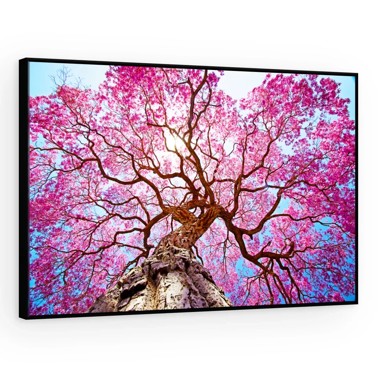 Quadro Decorativo Canvas Ipê Rosa - AF0085