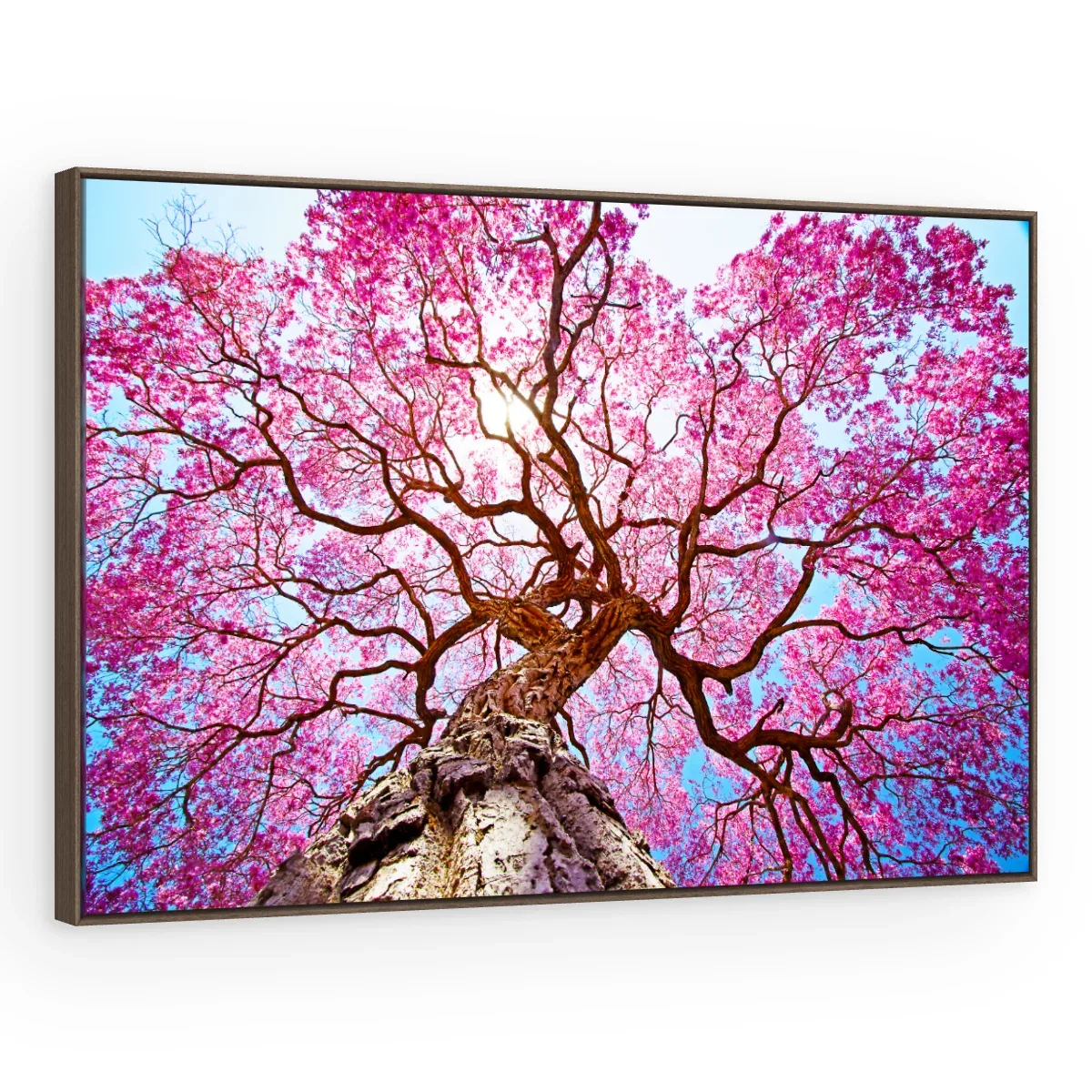 Quadro Decorativo Canvas Ipê Rosa - AF0085