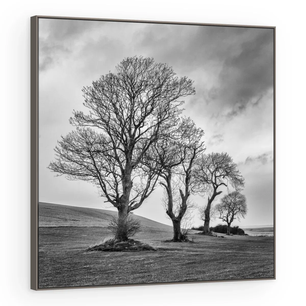 Quadro Decorativo Canvas Árvores Dramáticas - AF0086