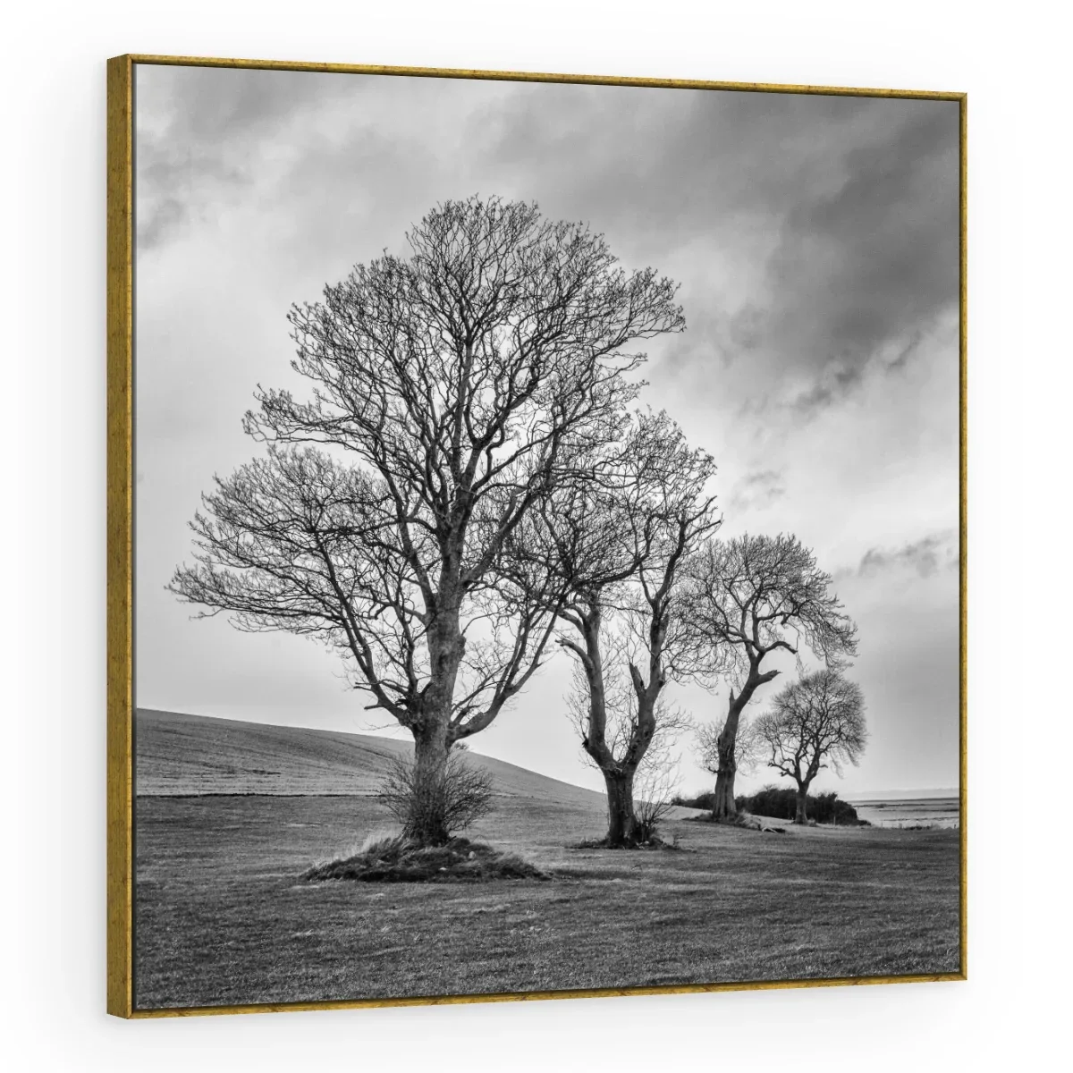 Quadro Decorativo Canvas Árvores Dramáticas - AF0086