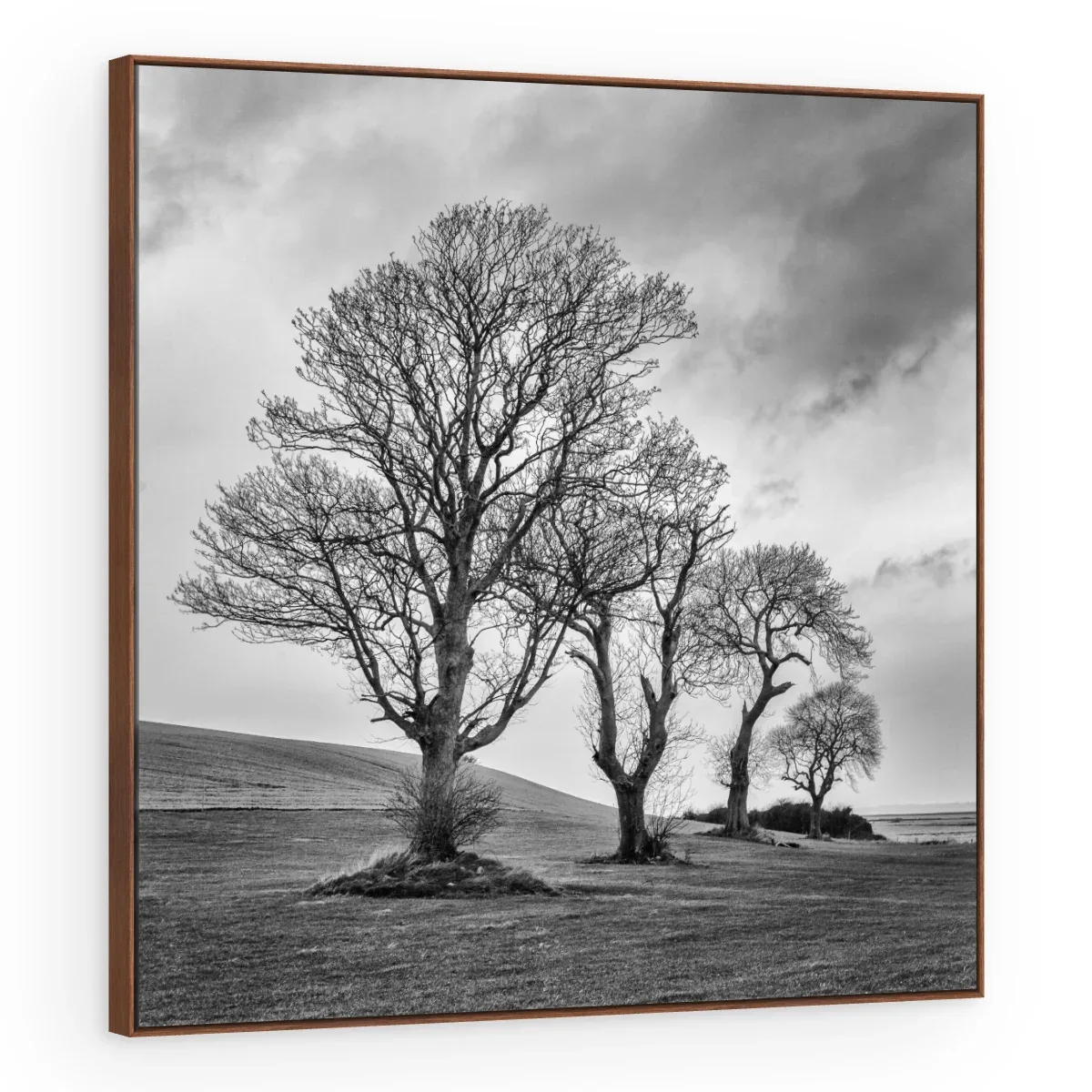 Quadro Decorativo Canvas Árvores Dramáticas - AF0086