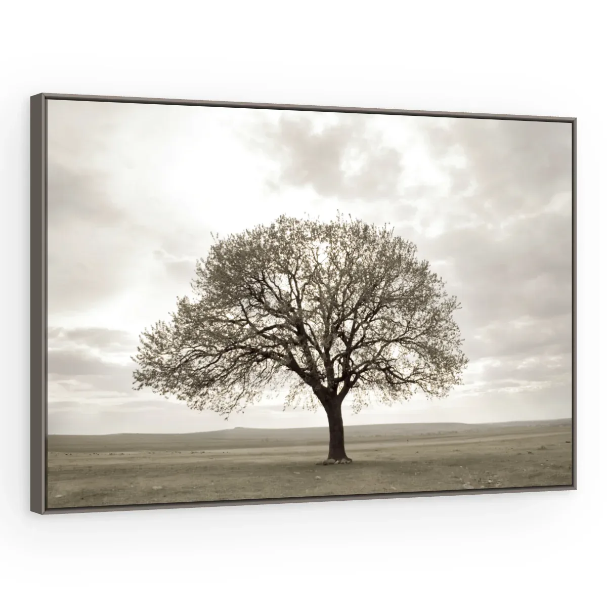 Quadro Decorativo Canvas Árvore Sépia - AF0087