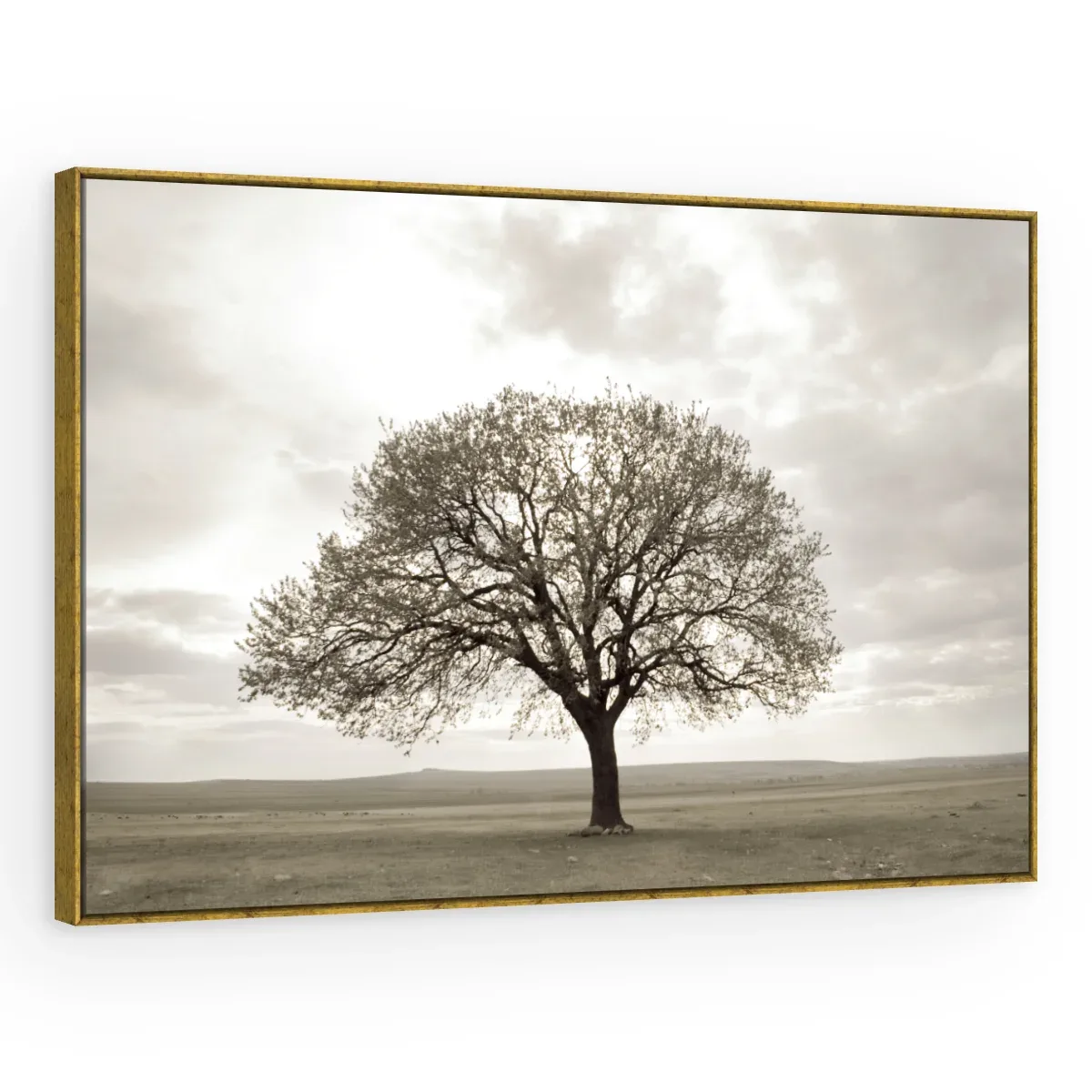 Quadro Decorativo Canvas Árvore Sépia - AF0087