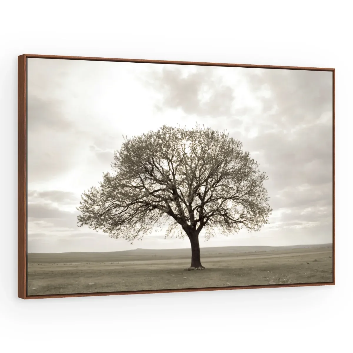 Quadro Decorativo Canvas Árvore Sépia - AF0087