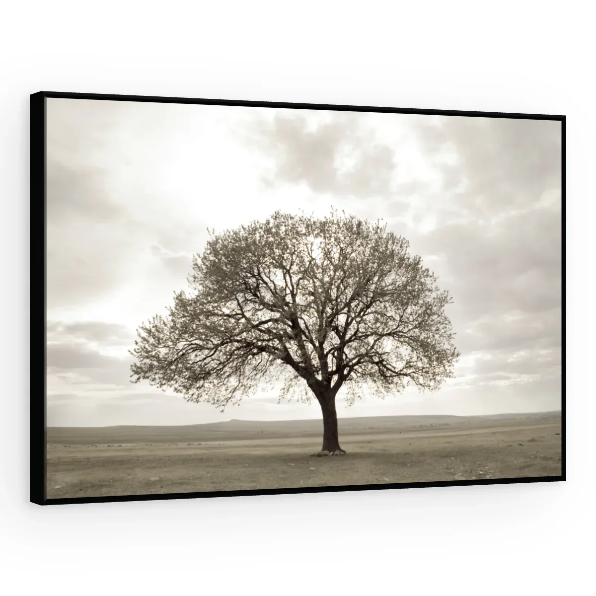 Quadro Decorativo Canvas Árvore Sépia - AF0087