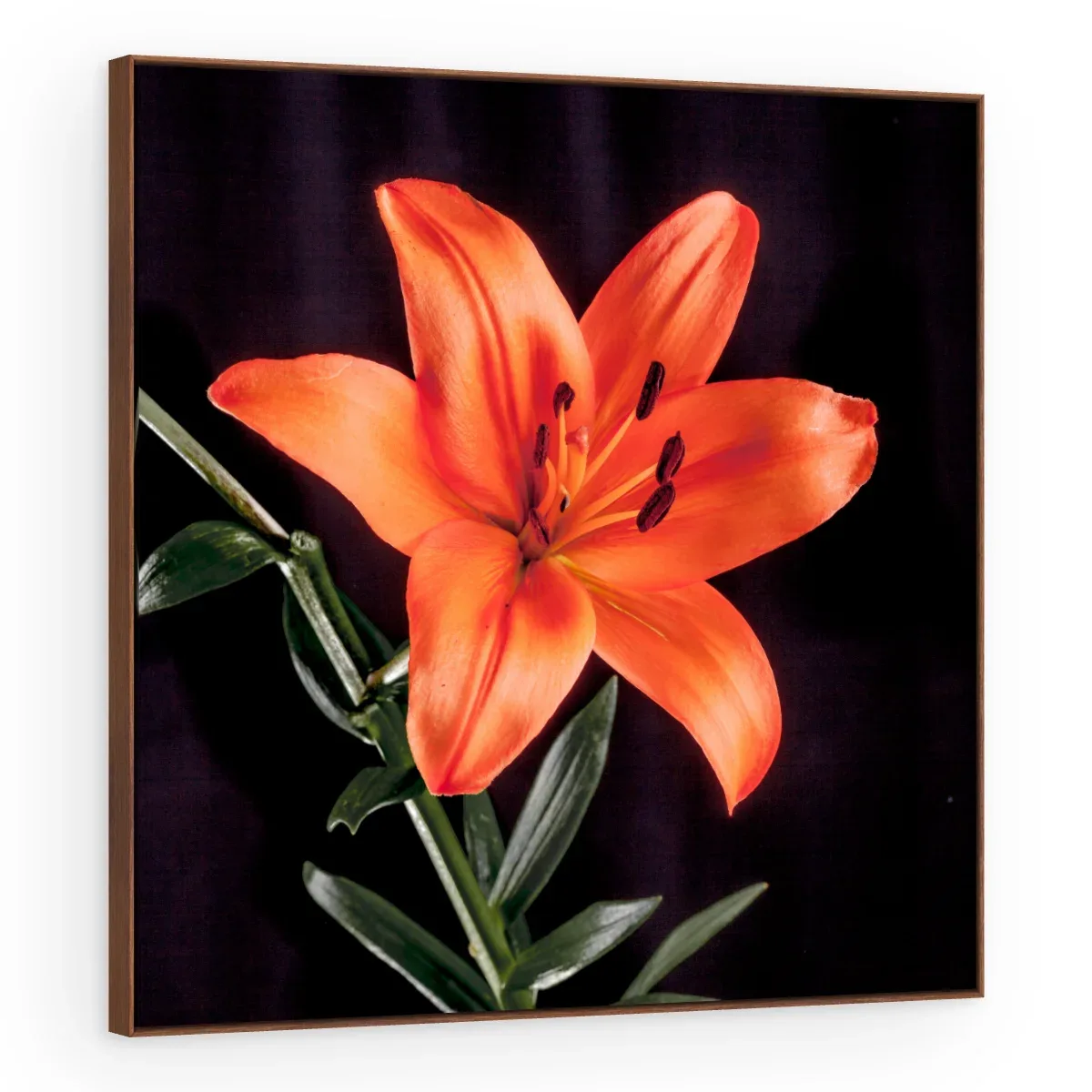 Quadro Decorativo Canvas Lírio Laranja - AF0089