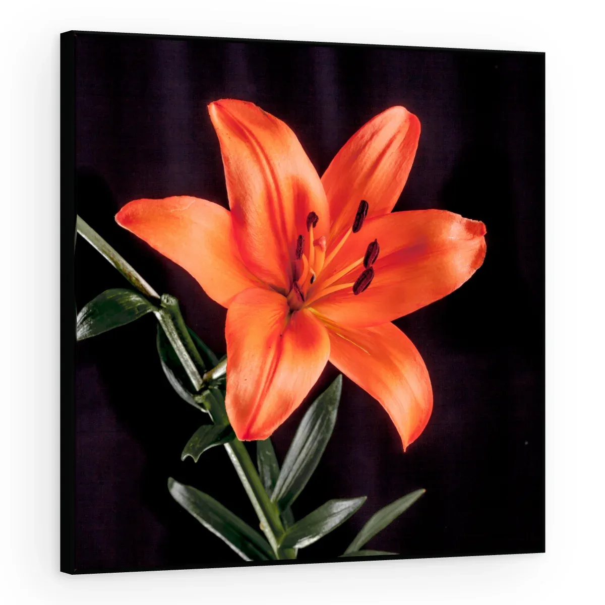 Quadro Decorativo Canvas Lírio Laranja - AF0089