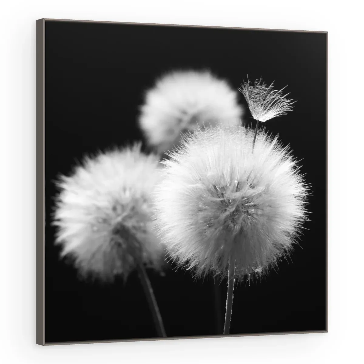 Quadro Decorativo Canvas Esferas Etéreas - AF0090