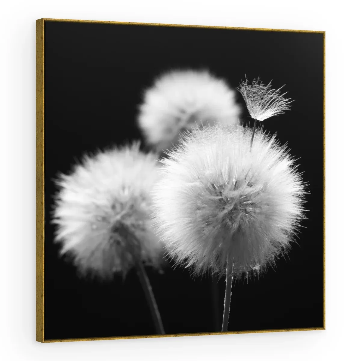 Quadro Decorativo Canvas Esferas Etéreas - AF0090