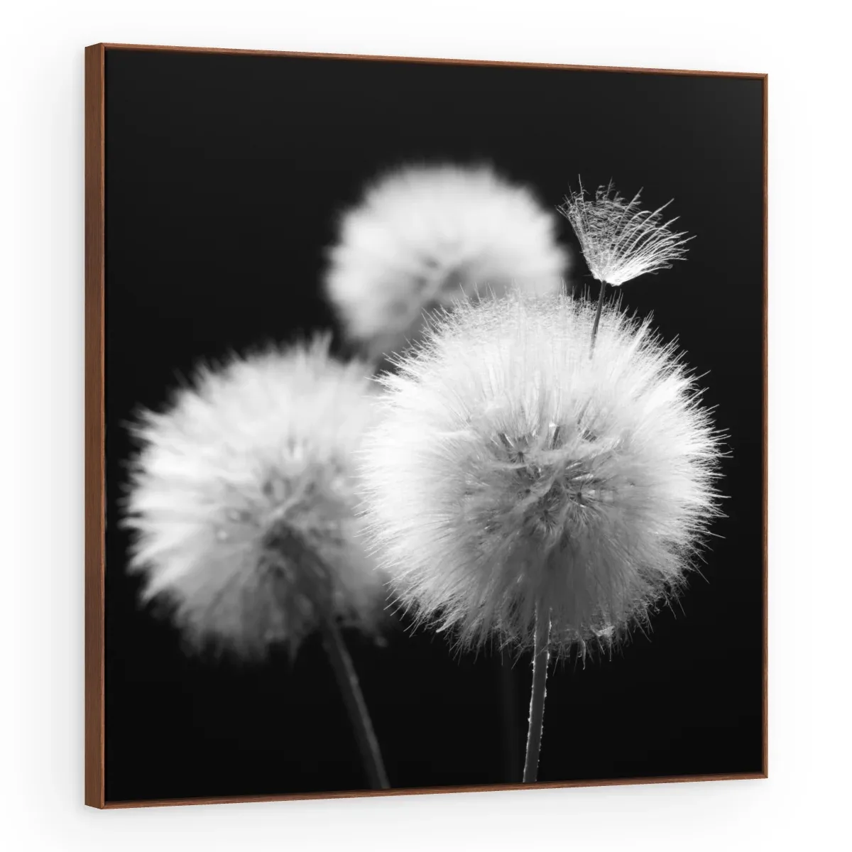 Quadro Decorativo Canvas Esferas Etéreas - AF0090