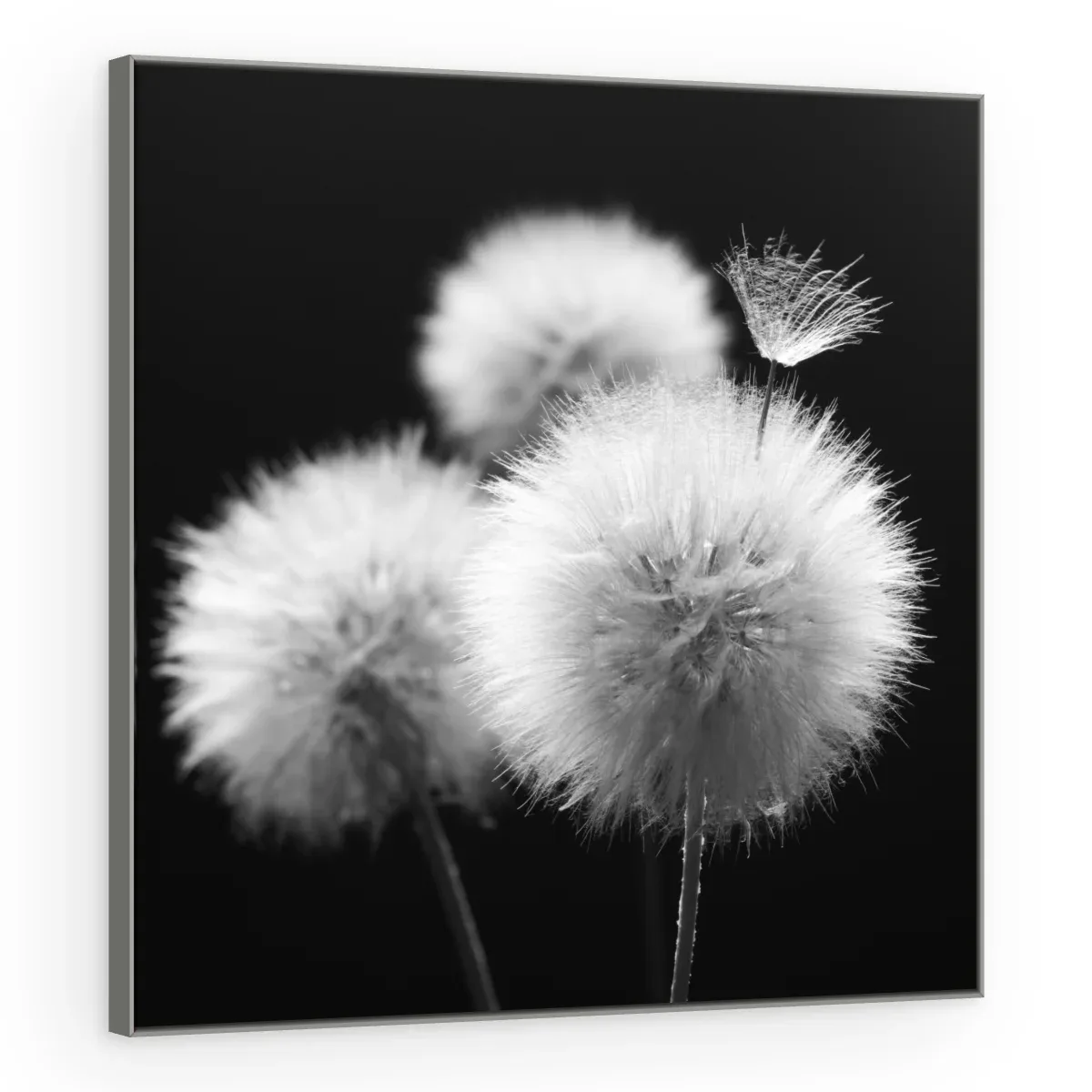 Quadro Decorativo Canvas Esferas Etéreas - AF0090