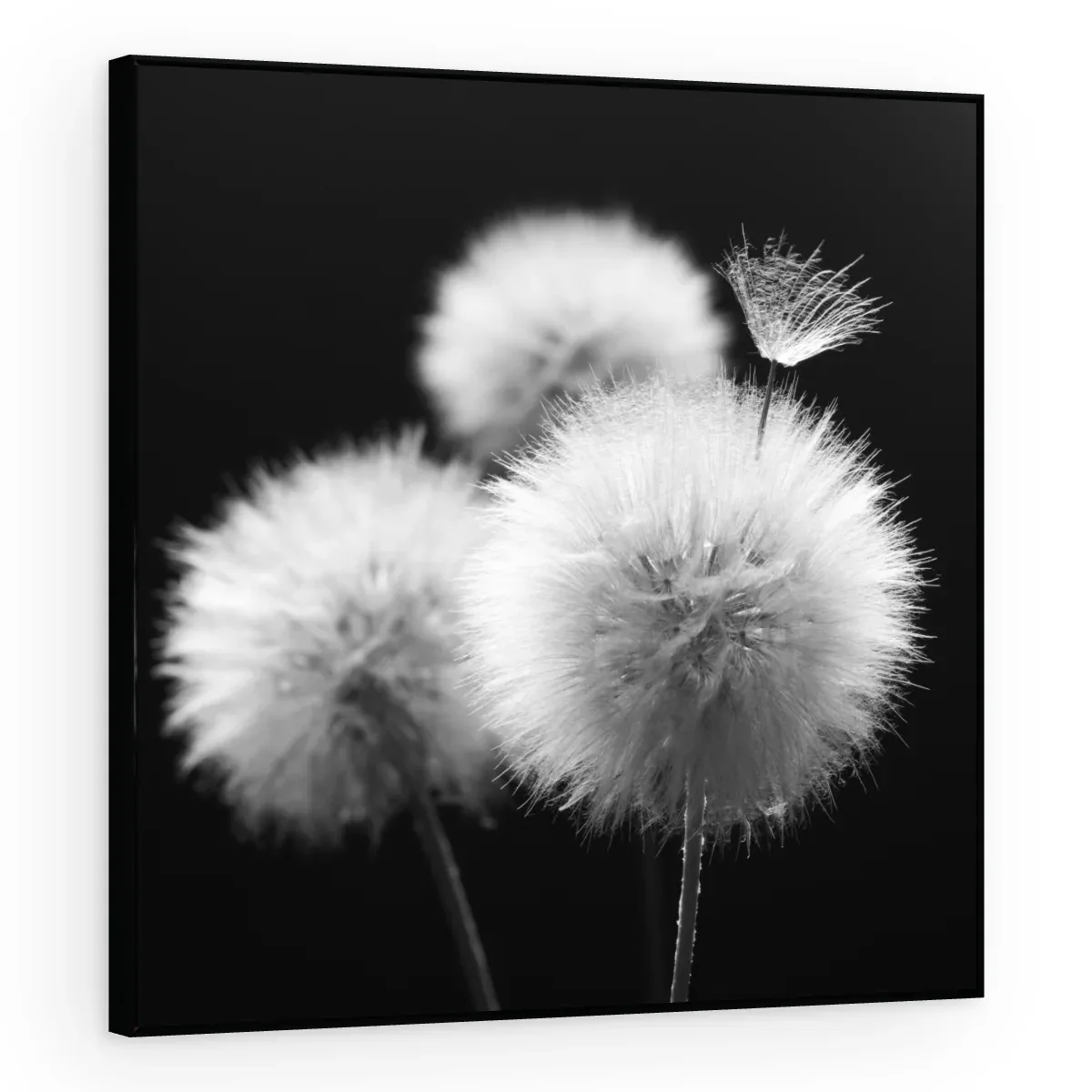 Quadro Decorativo Canvas Esferas Etéreas - AF0090