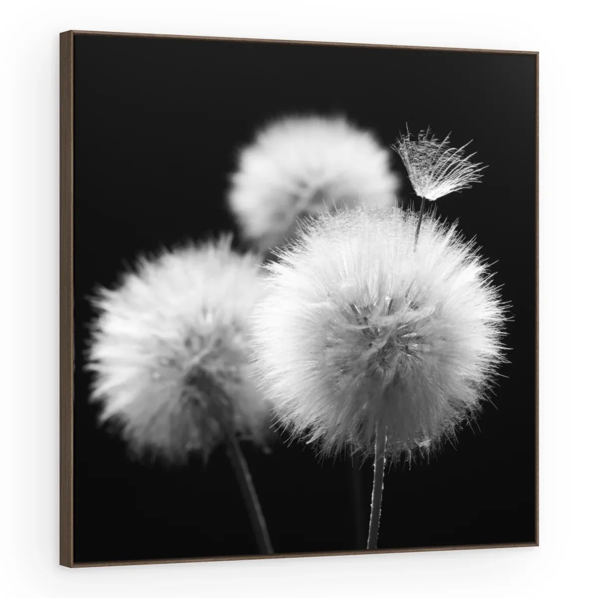 Quadro Decorativo Canvas Esferas Etéreas - AF0090
