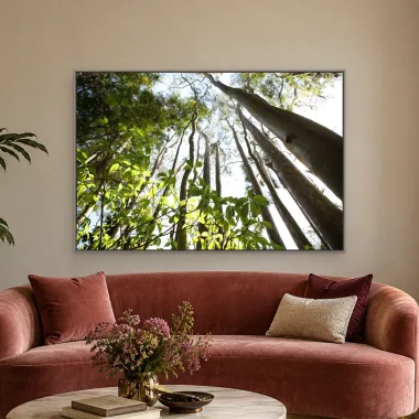 Quadro Decorativo Canvas Floresta Vertical - AF0095