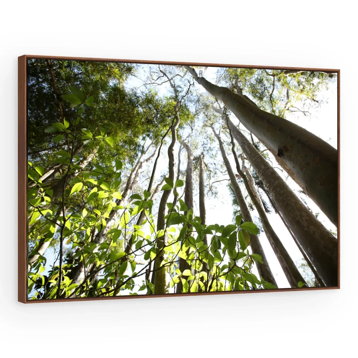 Quadro Decorativo Canvas Floresta Vertical - AF0095