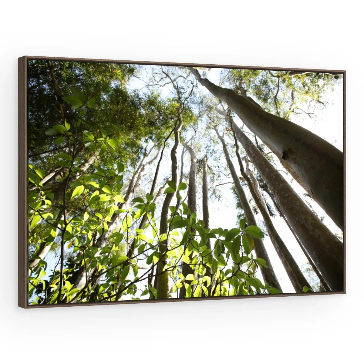 Quadro Decorativo Canvas Floresta Vertical - AF0095