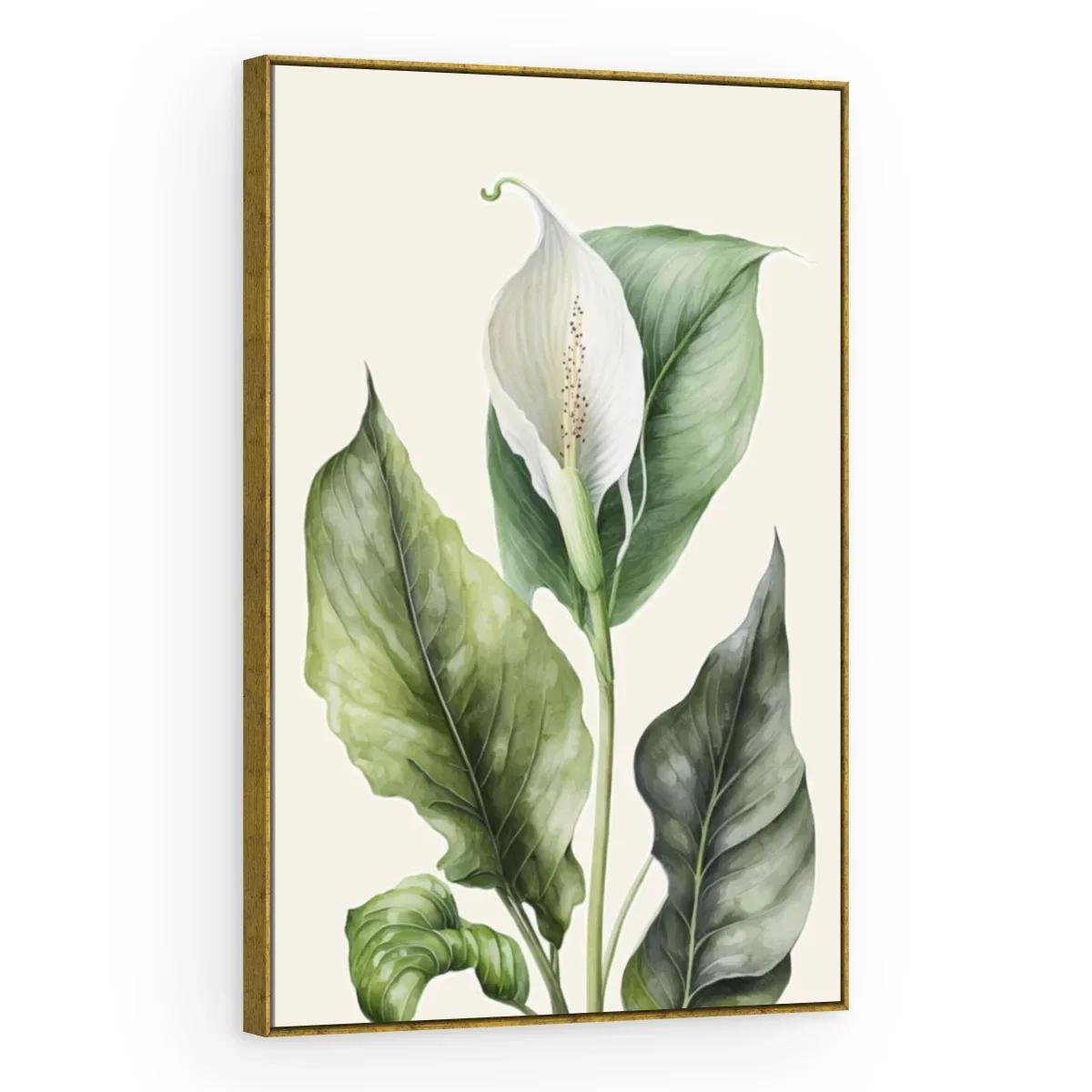 Quadro Decorativo Canvas Lírio Botânico - AF0106