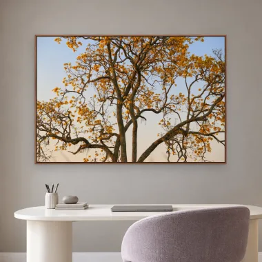 Quadro Decorativo Canvas Copa Alaranjada - AF0128