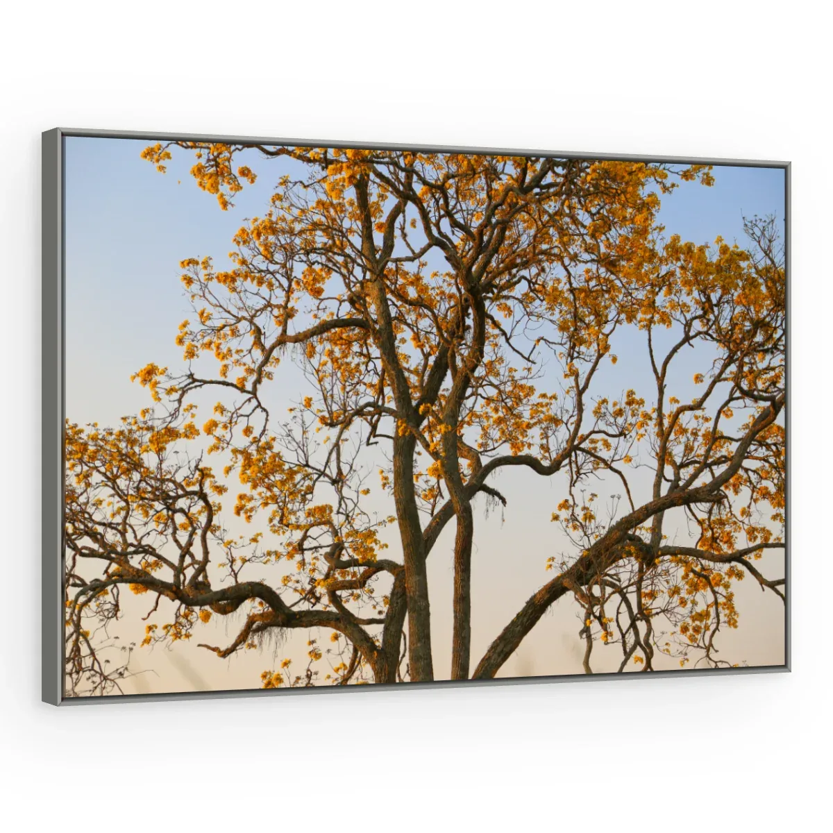 Quadro Decorativo Canvas Copa Alaranjada - AF0128