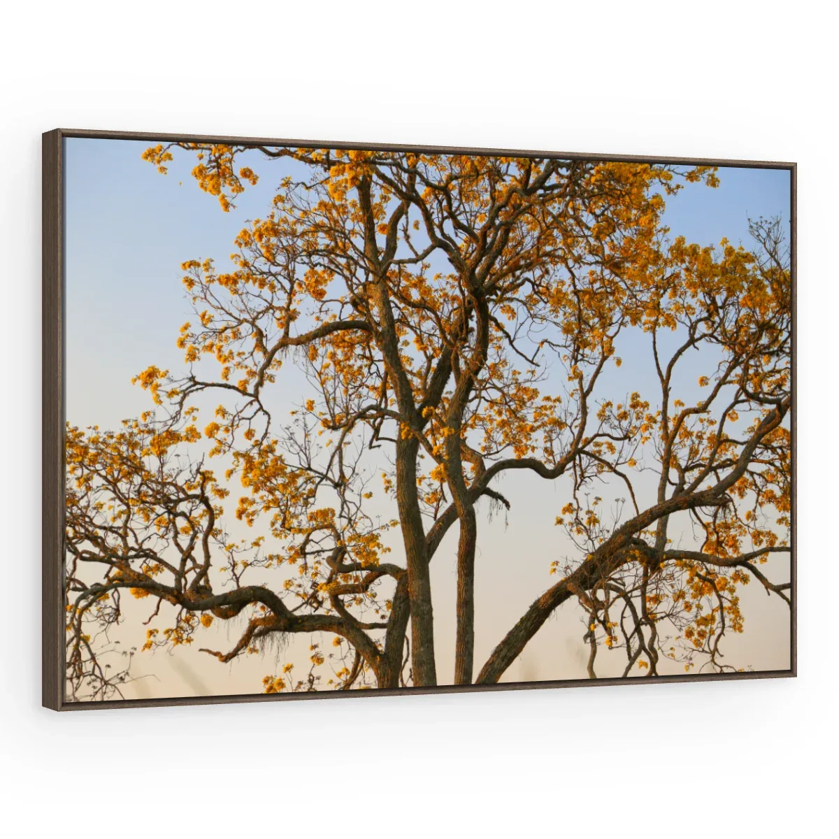 Quadro Decorativo Canvas Copa Alaranjada - AF0128
