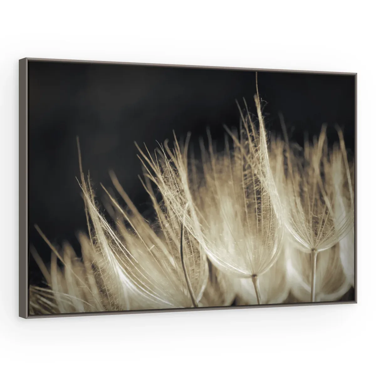 Quadro Decorativo Canvas Plumas Creme - AF0129
