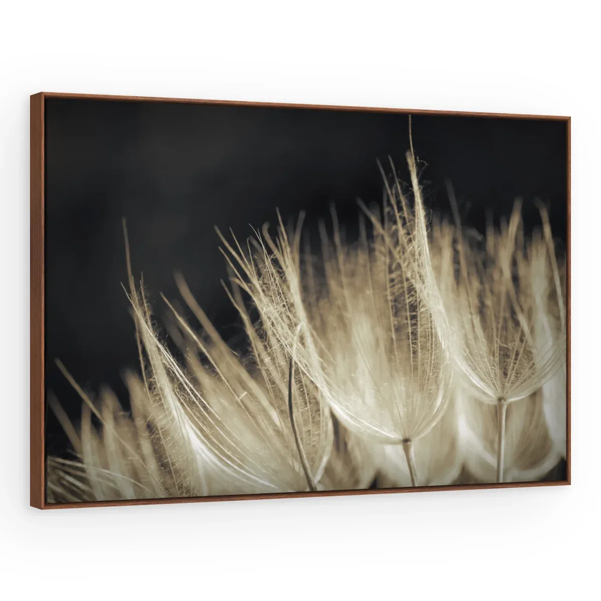 Quadro Decorativo Canvas Plumas Creme - AF0129