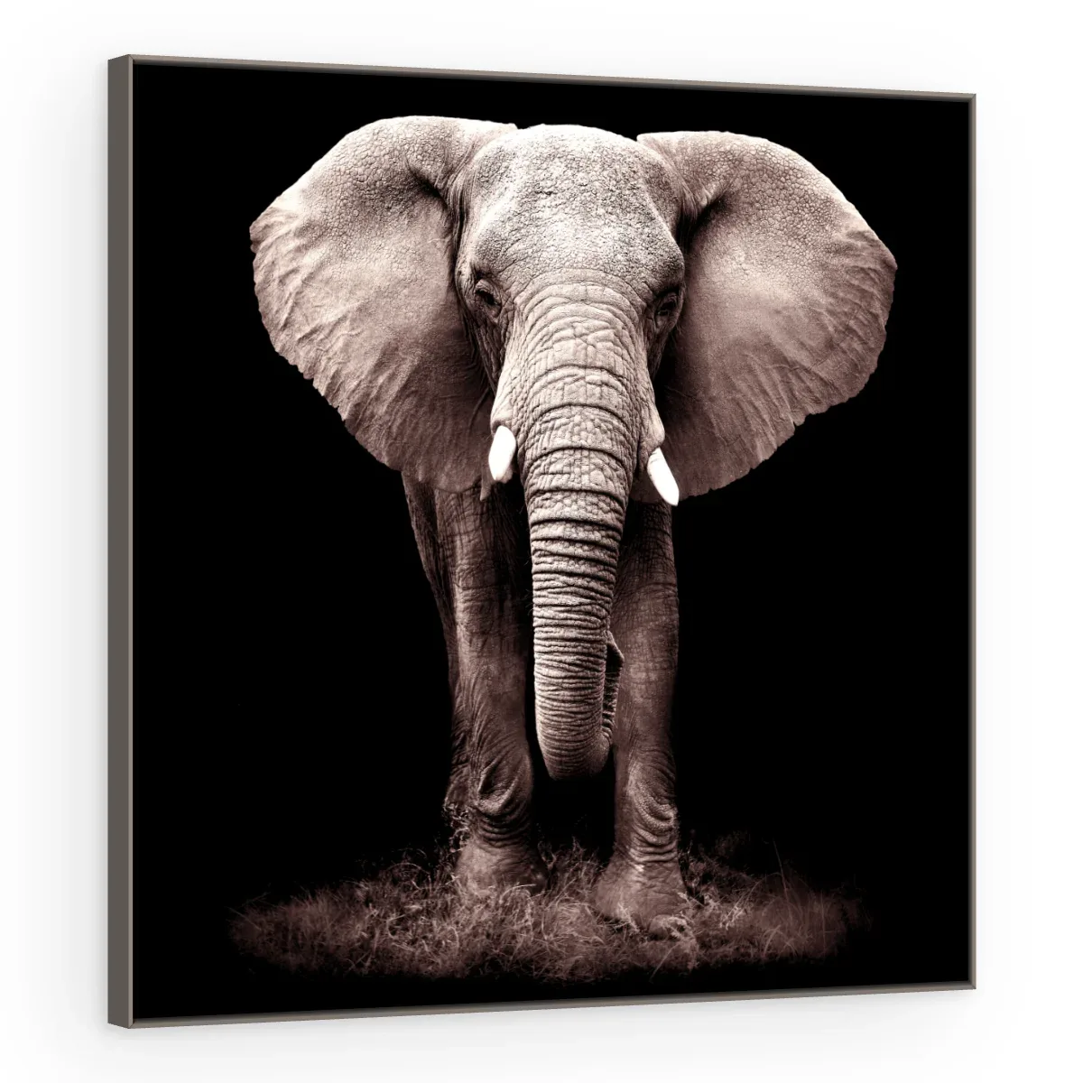 Quadro Decorativo Canvas Elefante Noturno - AN0008