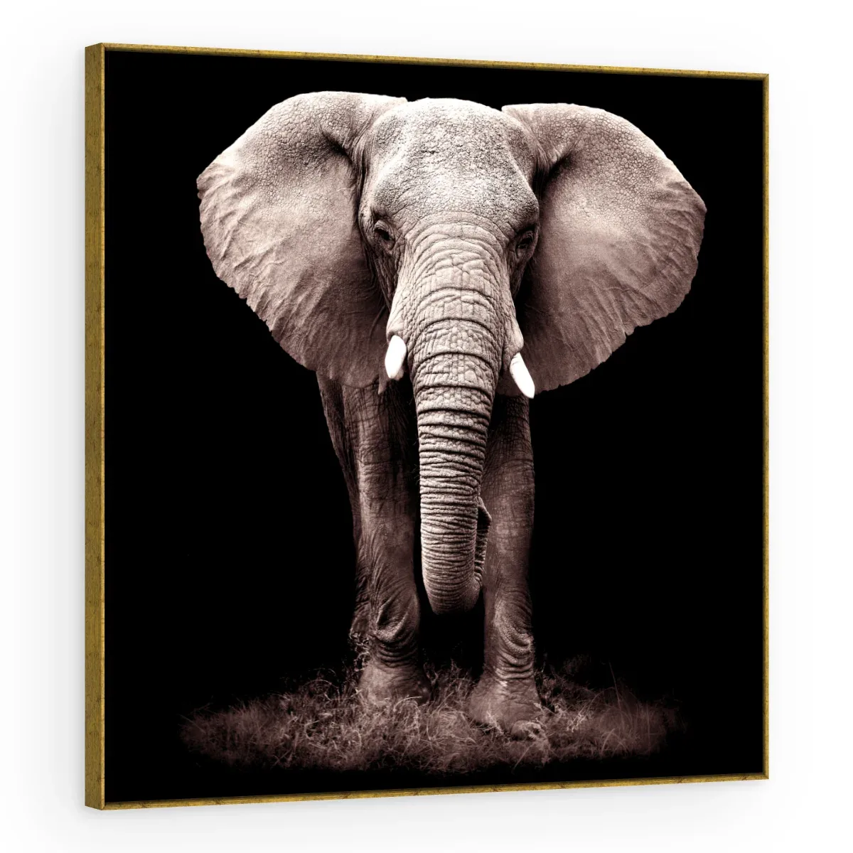 Quadro Decorativo Canvas Elefante Noturno - AN0008