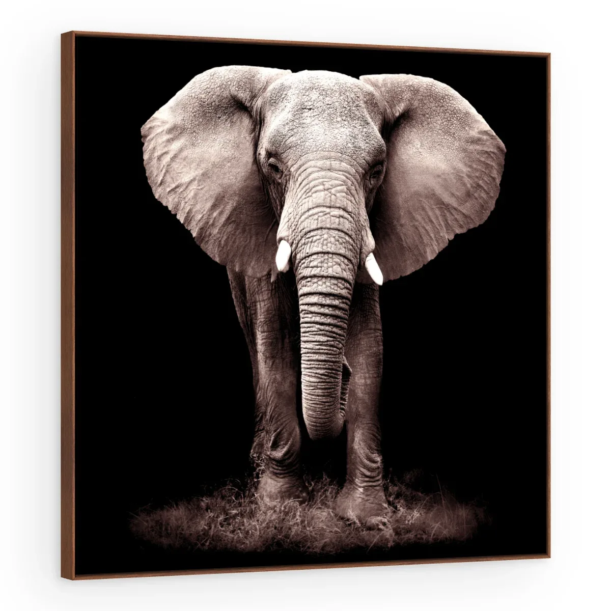 Quadro Decorativo Canvas Elefante Noturno - AN0008