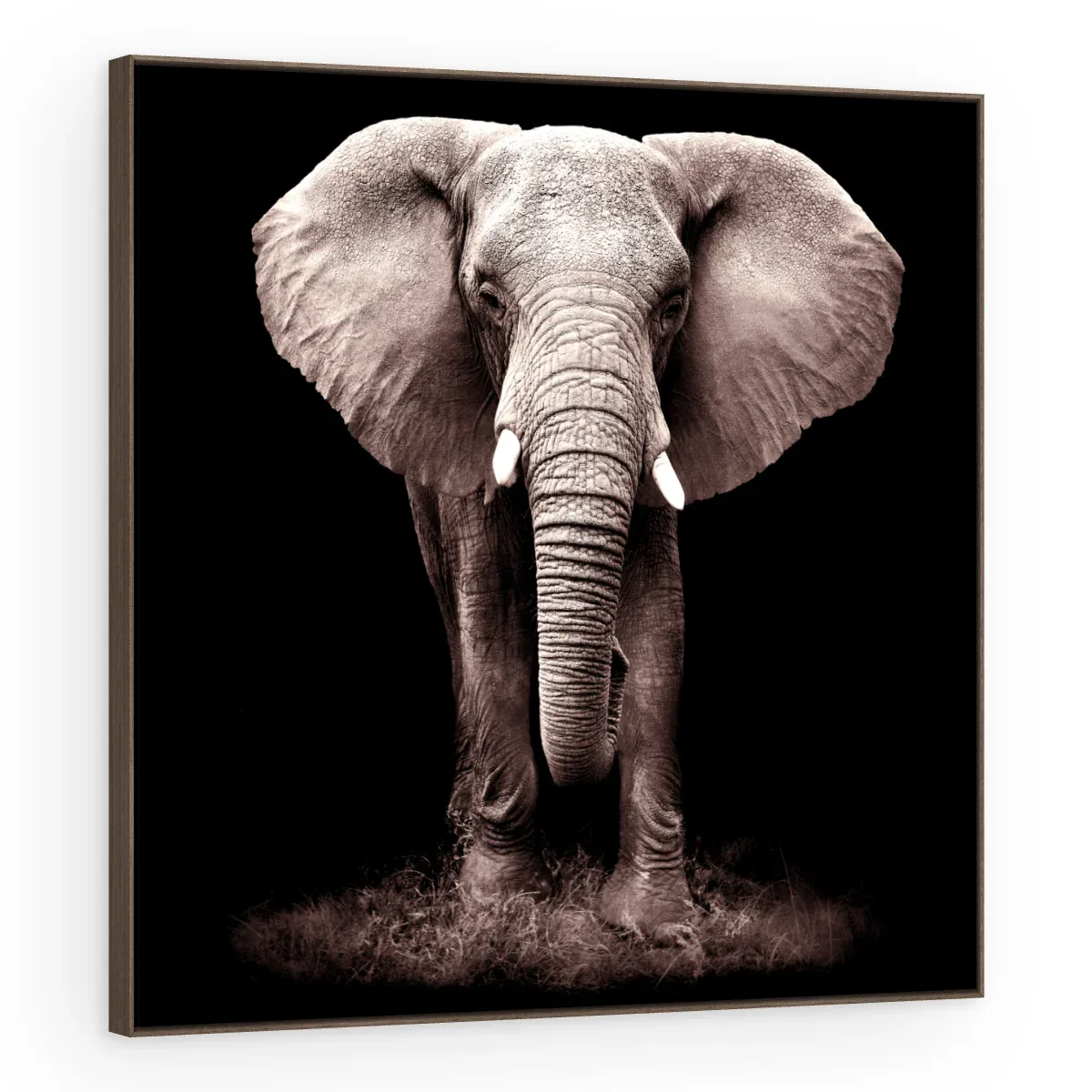Quadro Decorativo Canvas Elefante Noturno - AN0008