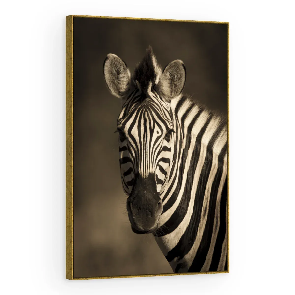 Quadro Decorativo Canvas Zebra Retrato - AN0011