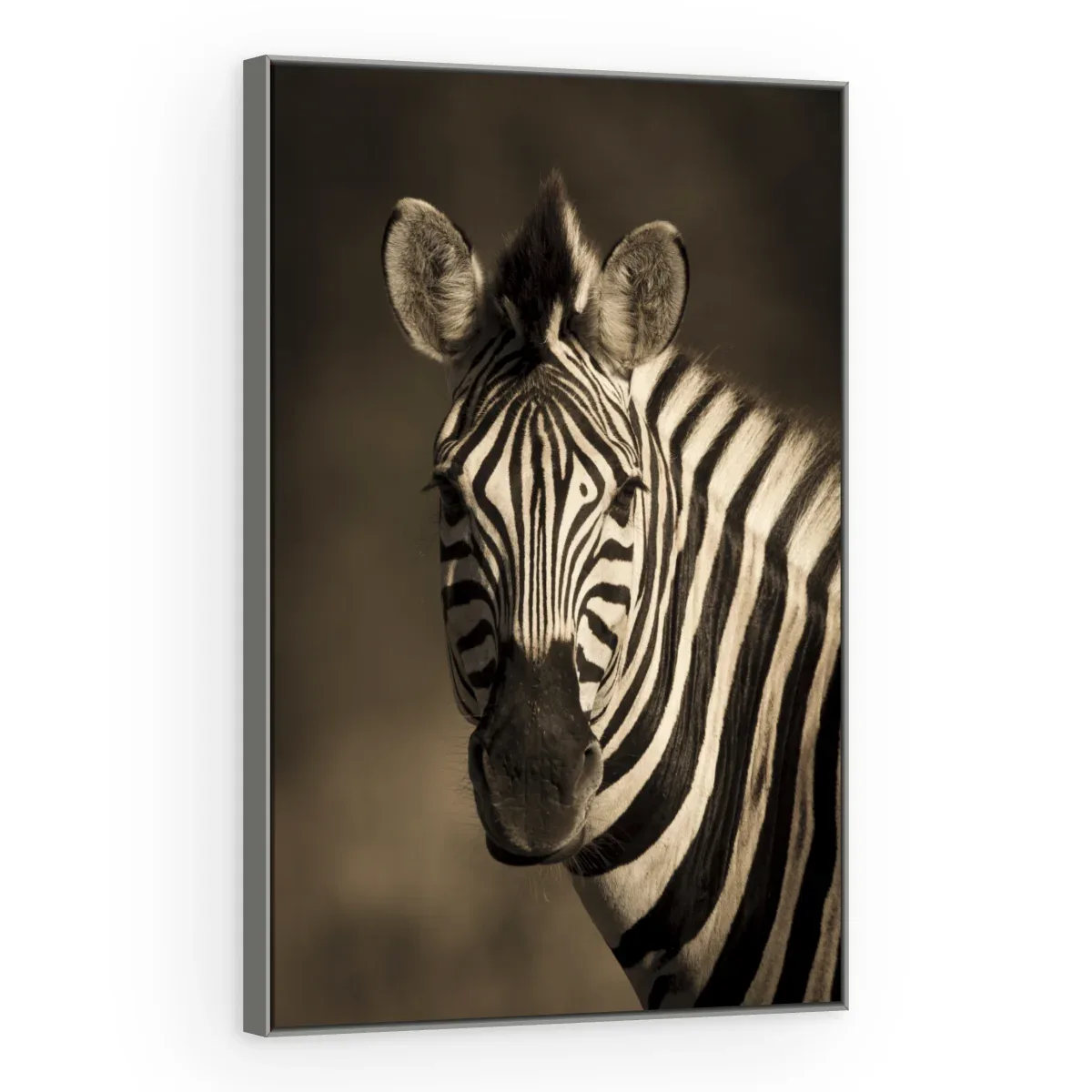 Quadro Decorativo Canvas Zebra Retrato - AN0011