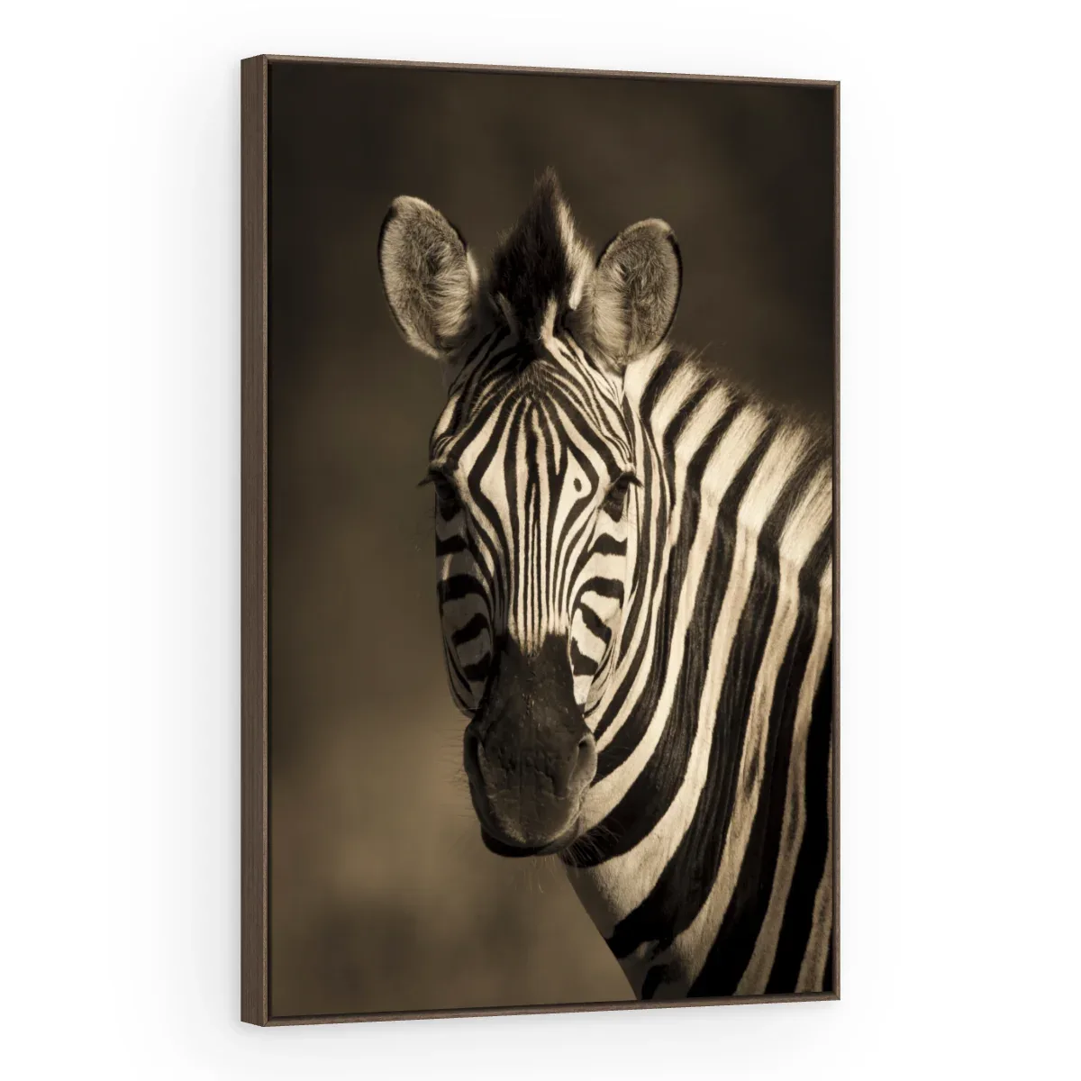 Quadro Decorativo Canvas Zebra Retrato - AN0011