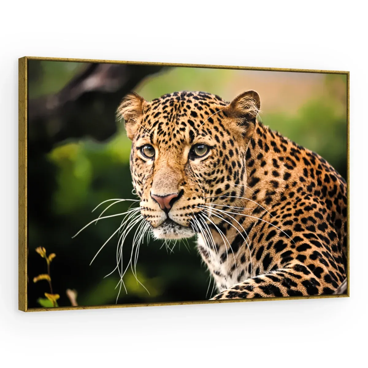 Quadro Decorativo Canvas Leopardo Selvagem - AN0012