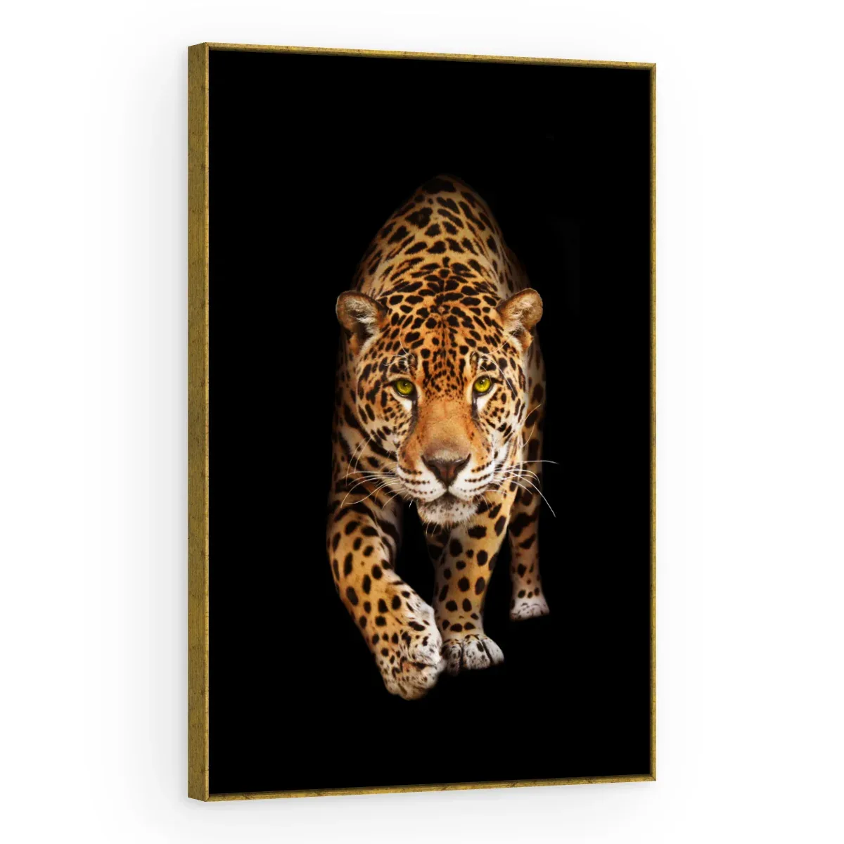 Quadro Decorativo Canvas Felino Pintado - AN0013