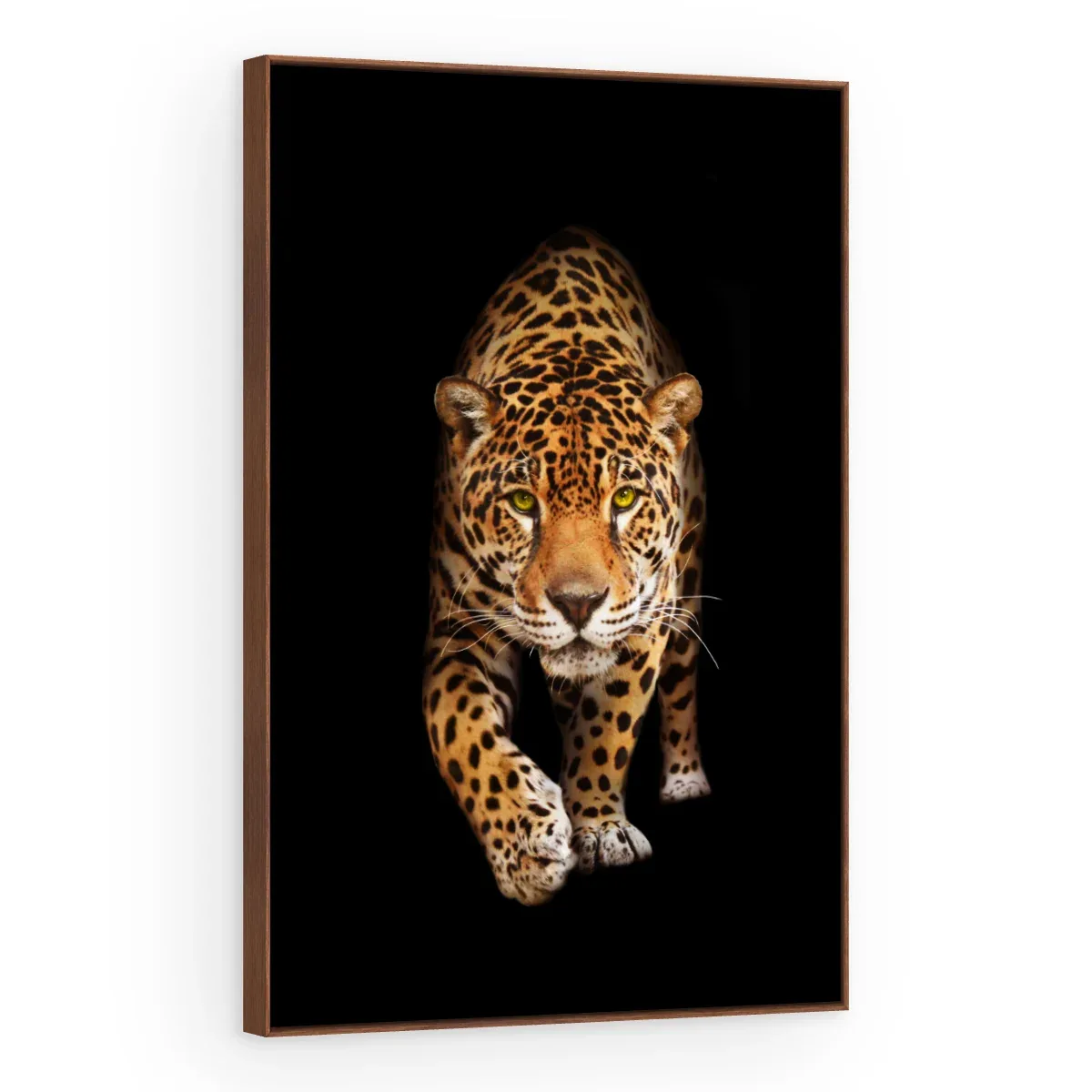 Quadro Decorativo Canvas Felino Pintado - AN0013