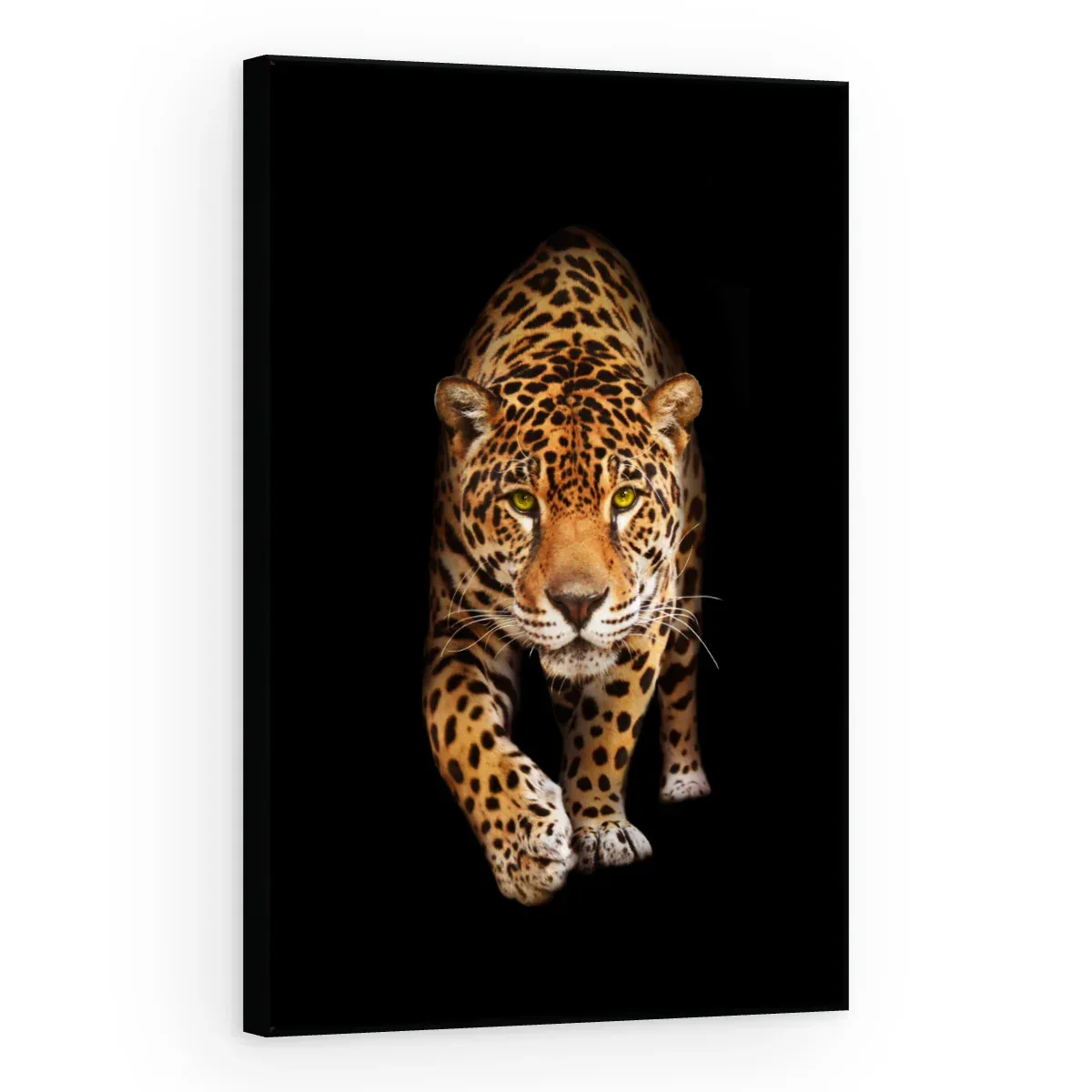 Quadro Decorativo Canvas Felino Pintado - AN0013