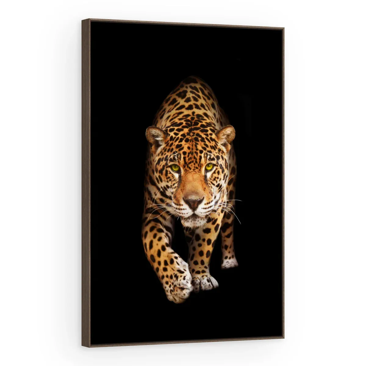 Quadro Decorativo Canvas Felino Pintado - AN0013