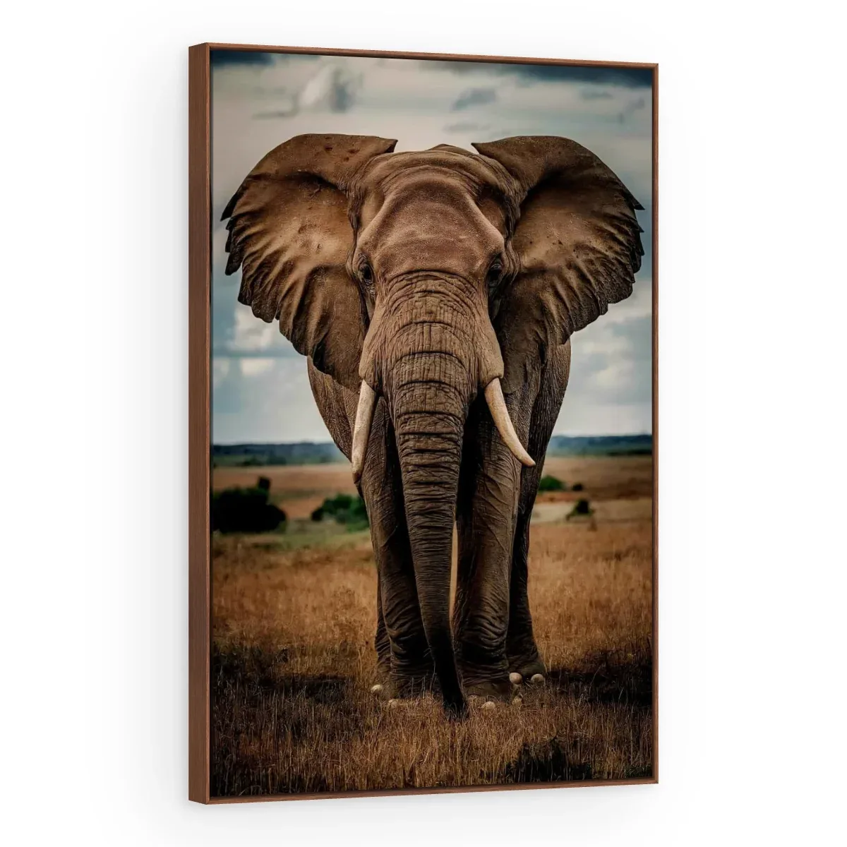 Quadro Decorativo Canvas Elefante Africano - AN0015