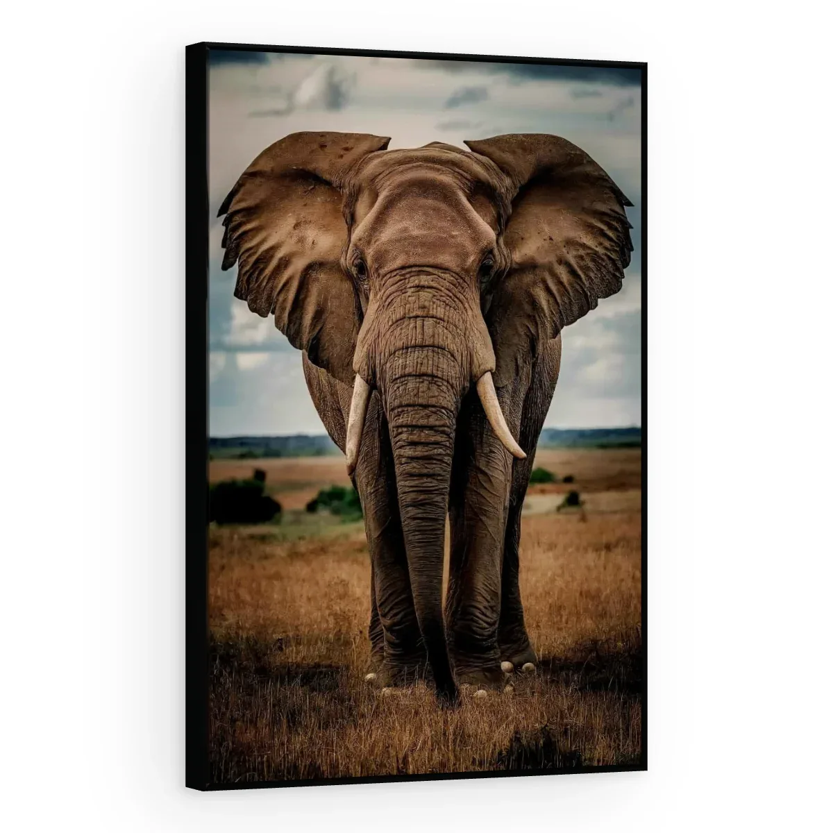 Quadro Decorativo Canvas Elefante Africano - AN0015