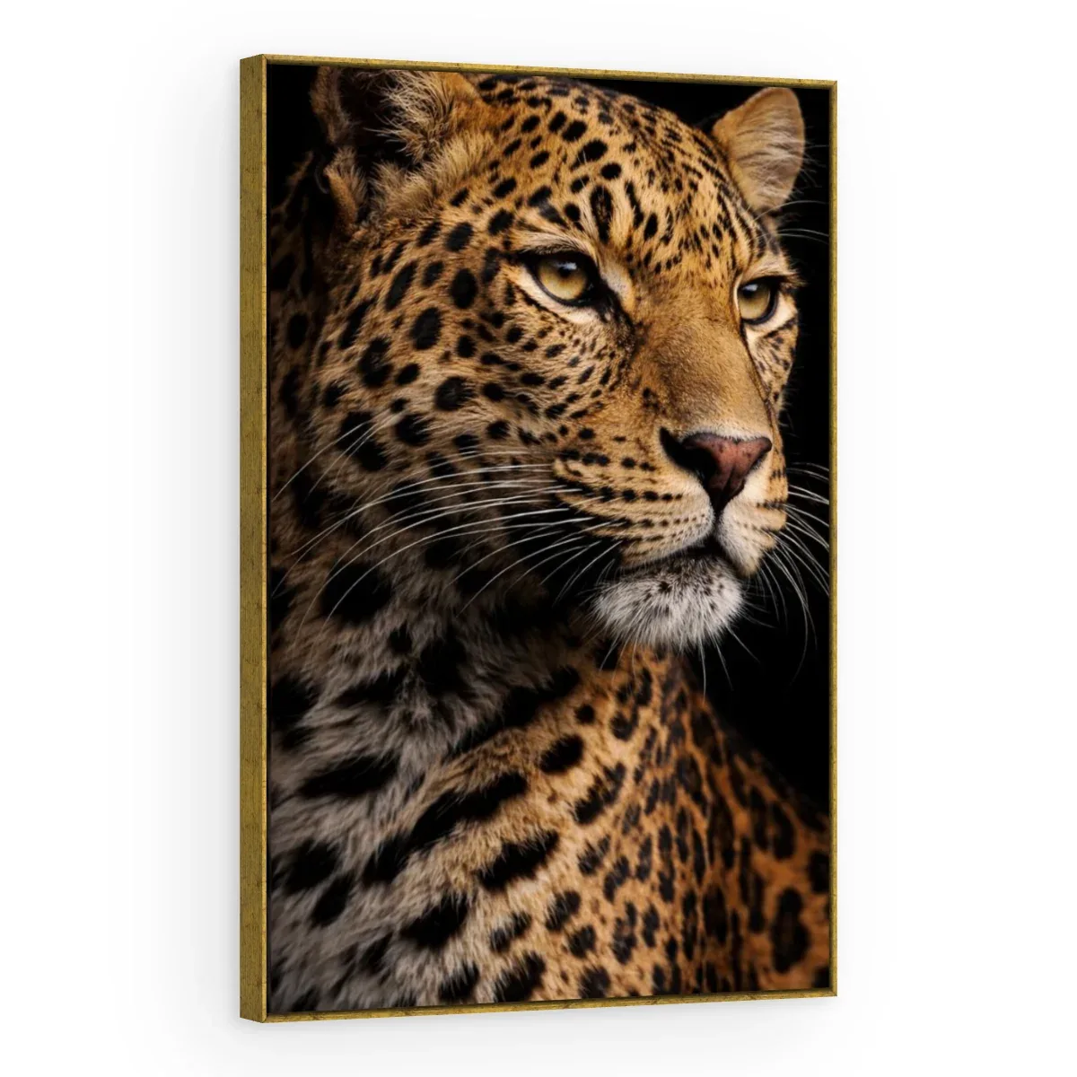 Quadro Decorativo Canvas Leopardo Sombrio - AN0019