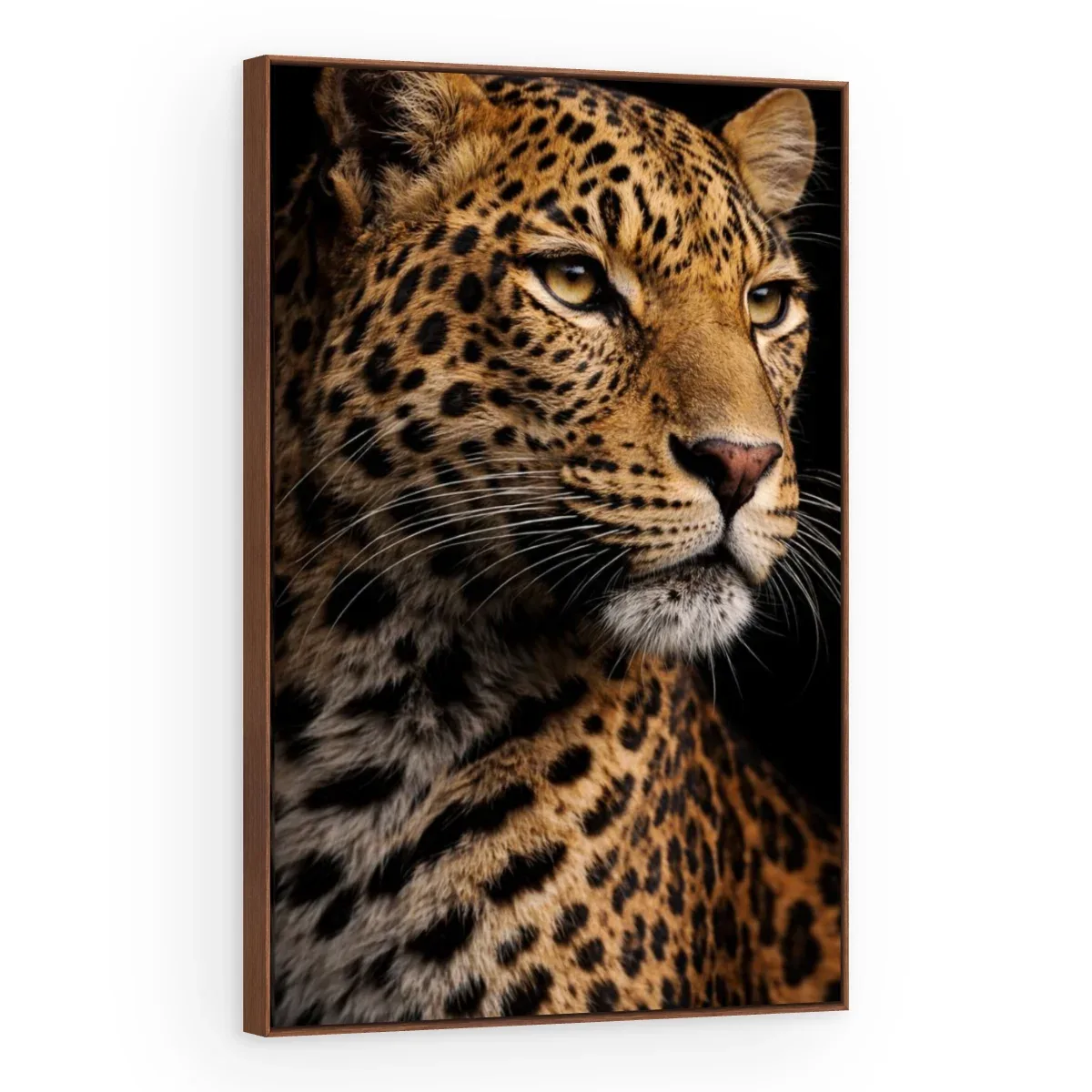 Quadro Decorativo Canvas Leopardo Sombrio - AN0019