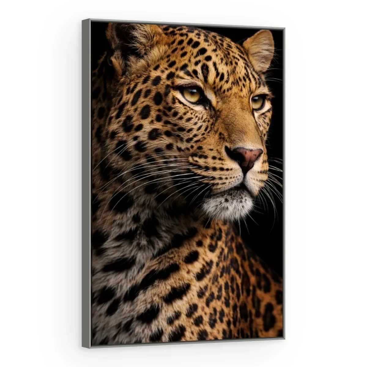 Quadro Decorativo Canvas Leopardo Sombrio - AN0019