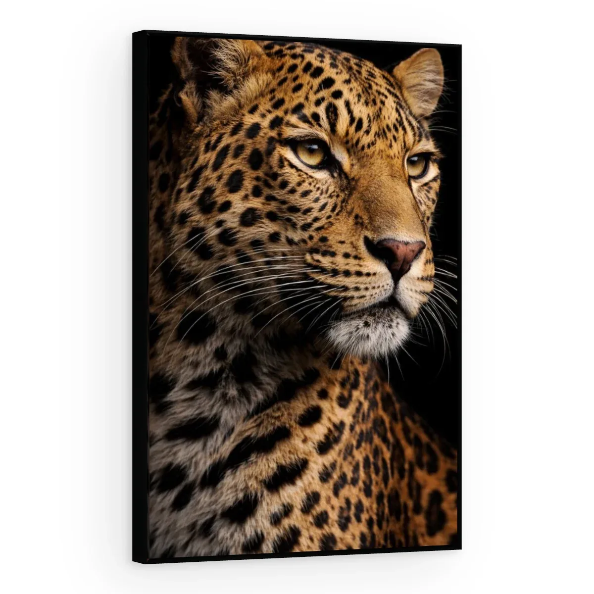 Quadro Decorativo Canvas Leopardo Sombrio - AN0019
