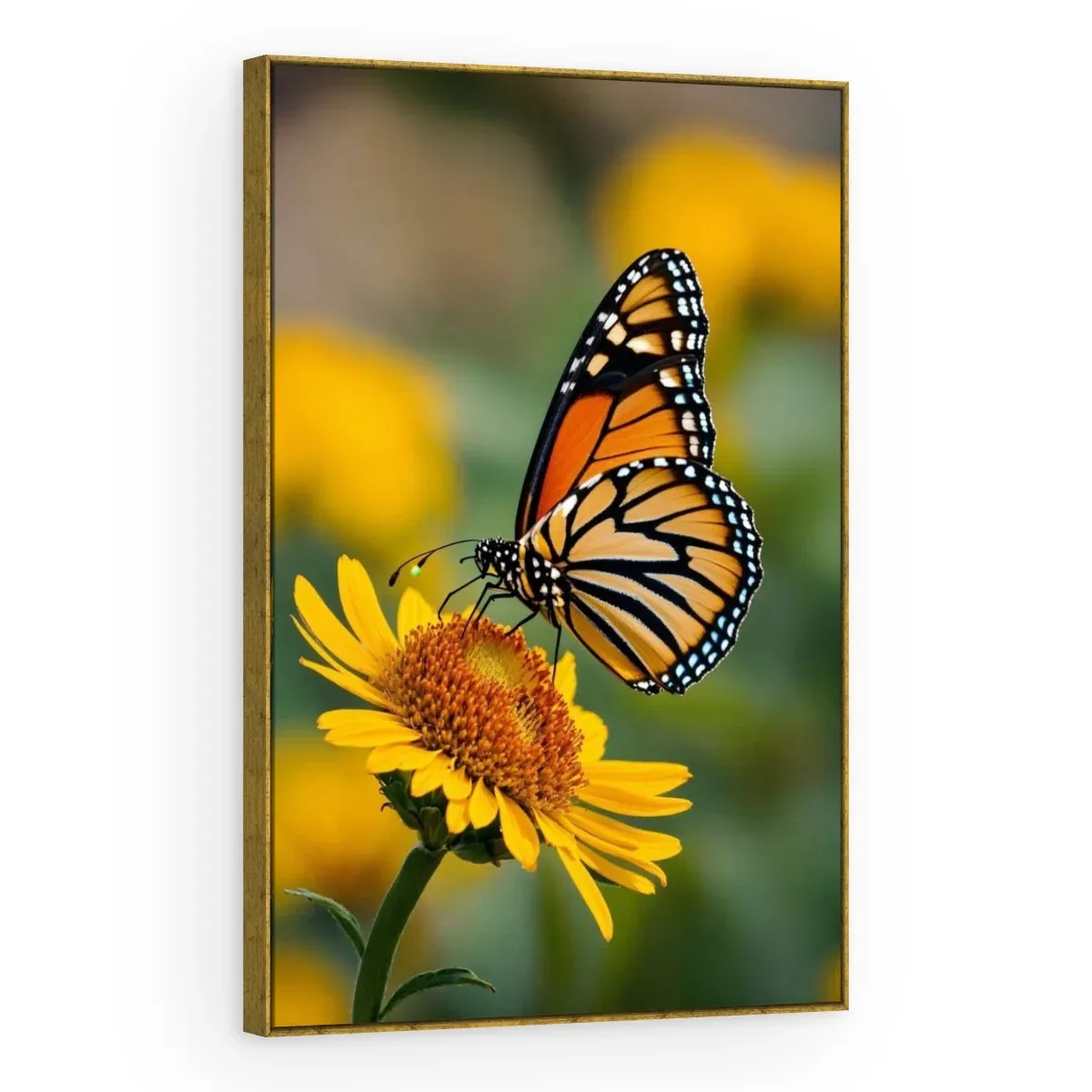 Quadro Decorativo Canvas Borboleta Monarca - AN0020