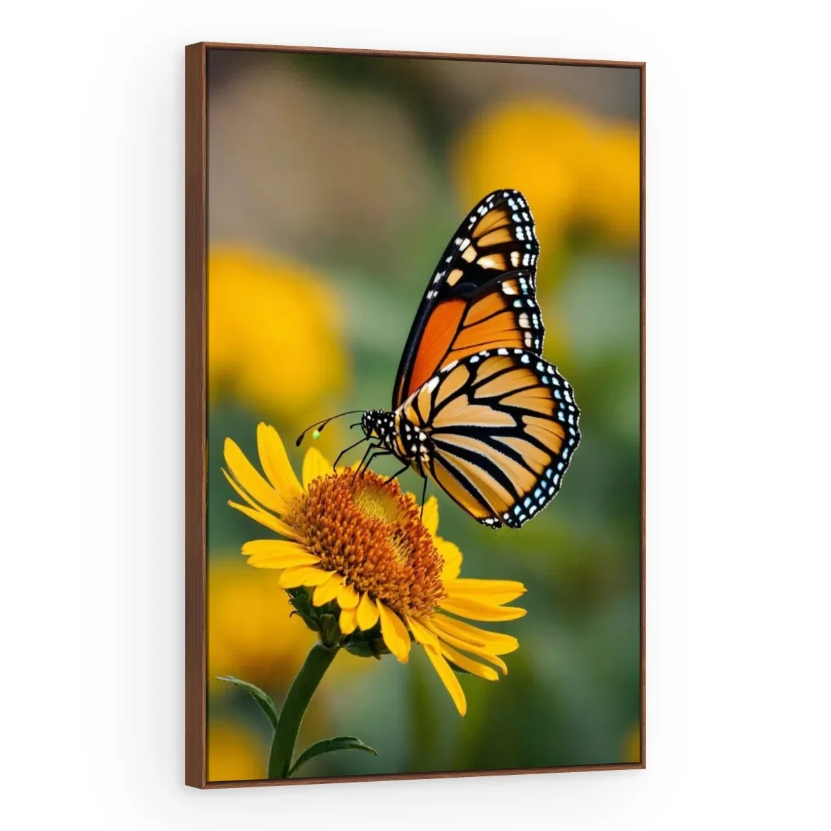 Quadro Decorativo Canvas Borboleta Monarca - AN0020