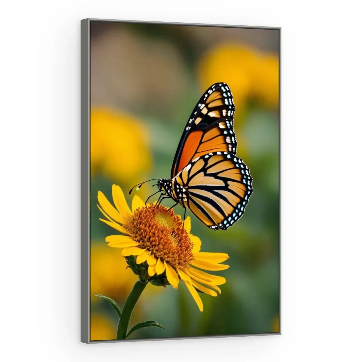 Quadro Decorativo Canvas Borboleta Monarca - AN0020