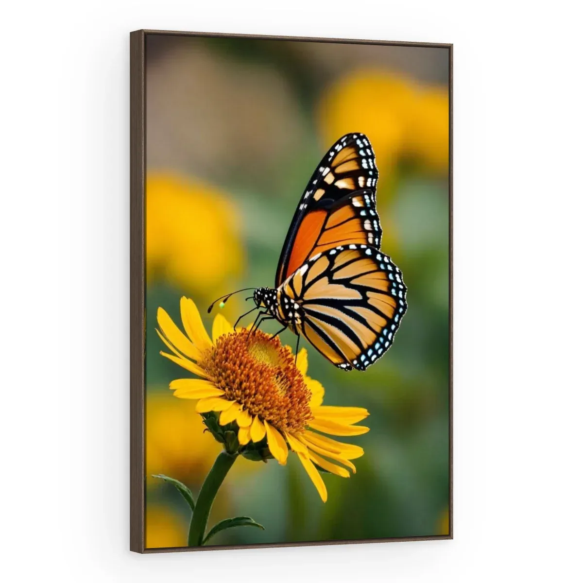 Quadro Decorativo Canvas Borboleta Monarca - AN0020
