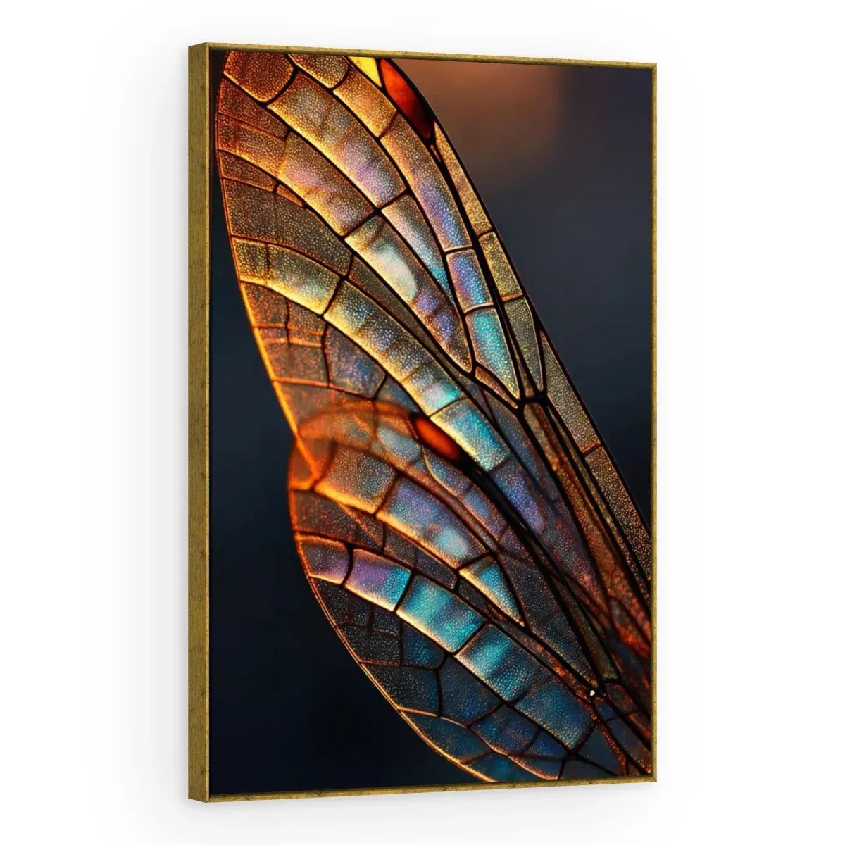 Quadro Decorativo Canvas Libélula Iridescente - AN0025